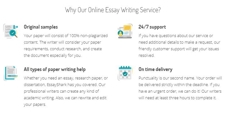 Best essay writing service image